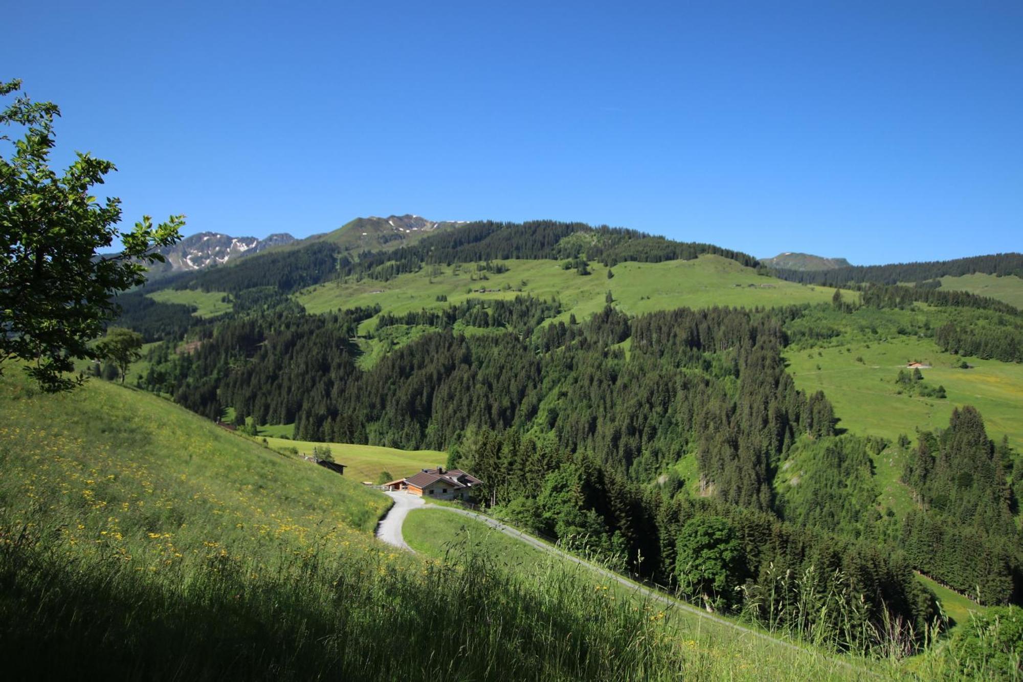 Ferienwohnung Bergpanorama Wild600 Schwarzenau  Exterior photo